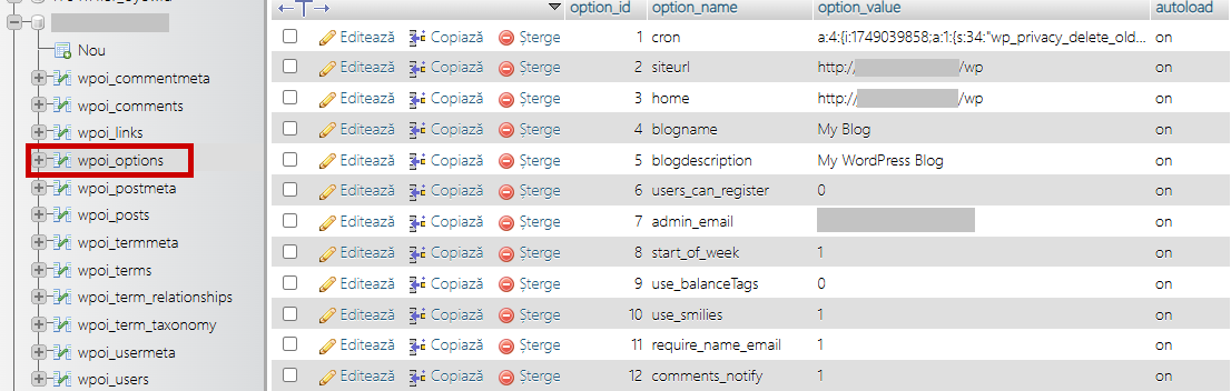 wp_options.png?access_token=sxc0kn-hmelunrbei-c1c07fda6a1b32cb814cce3bd568605cc741aaeb